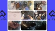 انتقال جنین اسب در پژوهشکده فناوری جنین دام دانشگاه شهرکرد 