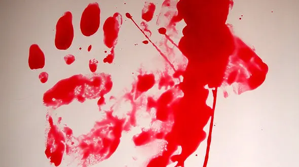 قتل دختر جوان تهرانی در ویلای شمال / بهنوش را به خاطر سگ زخمی کشتم !