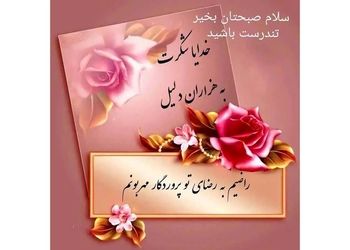 فال احساسی کات شده ها / فیلم