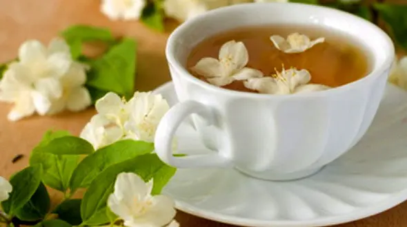 خواص چای سفید را بدانید و از آن استفاده کنید