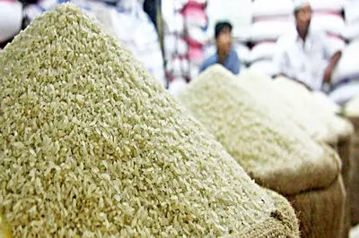 قیمت برنج وارداتی چند؟