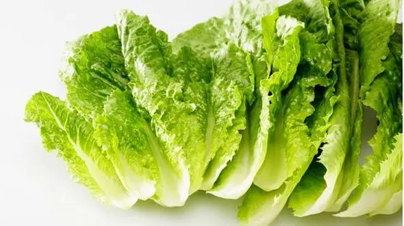 خوراکی هایی که داروی قبل از خواب هستند