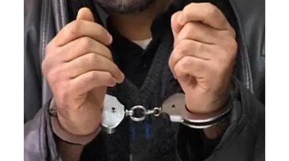 نیمه شب وارد خانه ویلایی شدم و خودم را بالای سر زن تنها در اتاق خواب رساند و ...