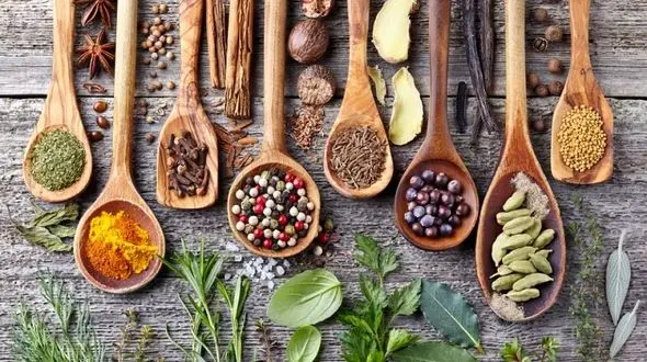 درمان میگرن با گیاهانی شگفت انگیز