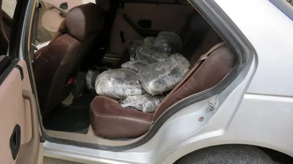 دزدان پرشیا نقشه سیاه تری داشتند ! / در قلعه گنج فاش شد