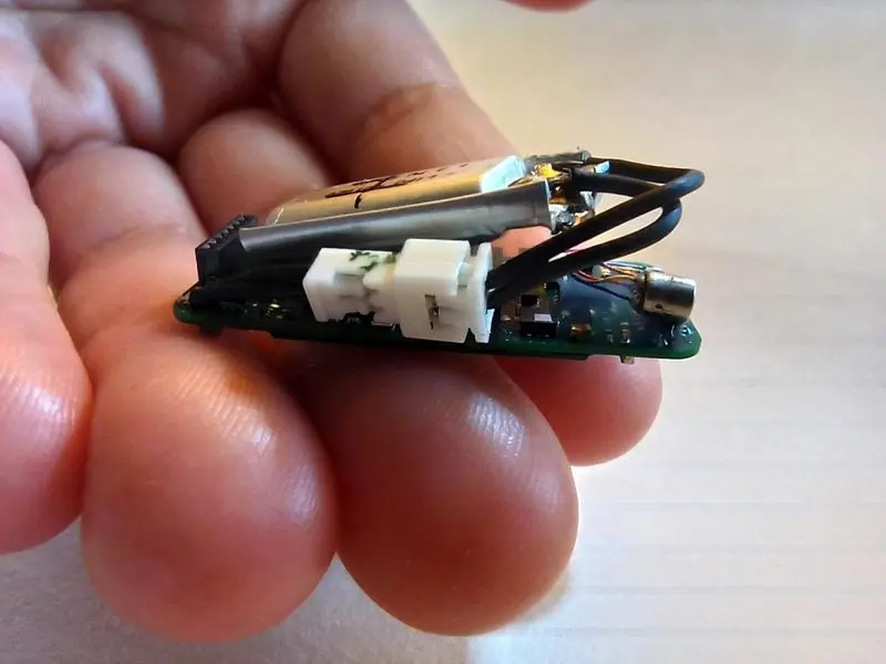 خفاشها چطور مثل جنگنده پرندهها را شکار کرده و در آسمان میبلعند