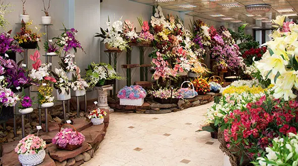 سبزه ۵ روز پیش از عید روانه بازار می‌شود