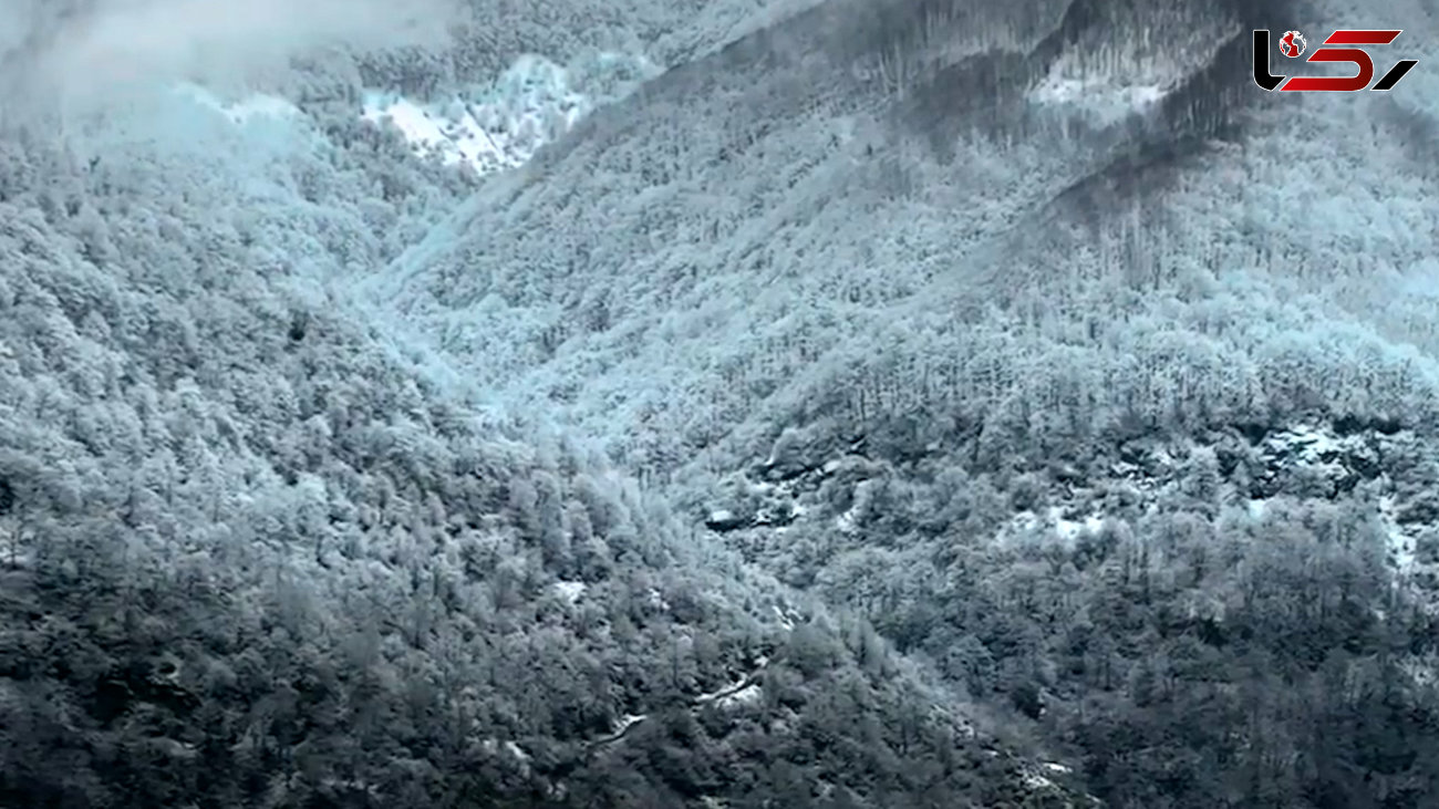 بارش برف در ارتفاعات گیلان / فیلم