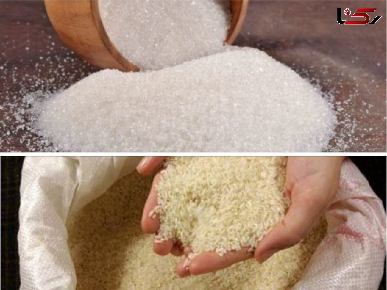 توزیع نامحدود برنج و شکر برای تنظیم بازار
