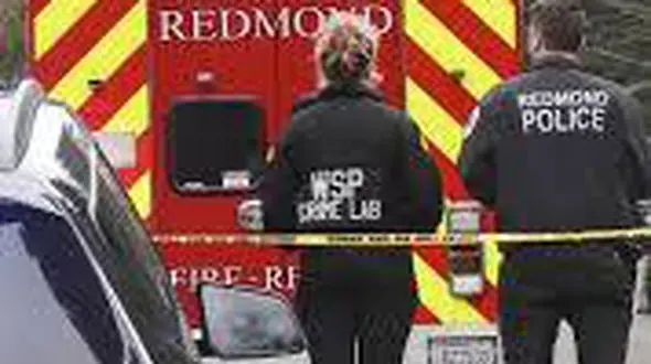 ارسال جعبه‌ای پر از عنکبوت و سوسک‌ زنده برای یک زن و شوهر!