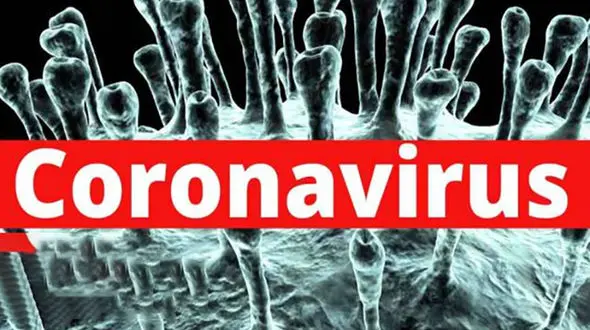 ۱۱ نفر در اردبیل مشکوک به بیماری کرونا هستند