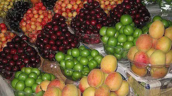 آخرین تحولات بازار میوه و سبزی/نوبرانه‌ها ارزان‌تر می‌شود