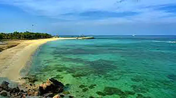 پاکسازی سواحل جزیره کیش + فیلم