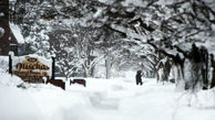 طوفان برف در شرق کانادا + فیلم