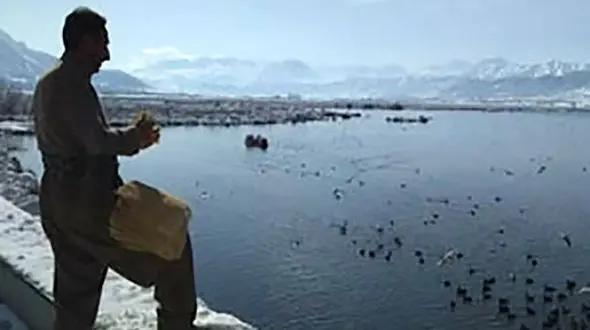 اقدام زیبای شهروند مریوانی برای پرندگان مهاجر + فیلم