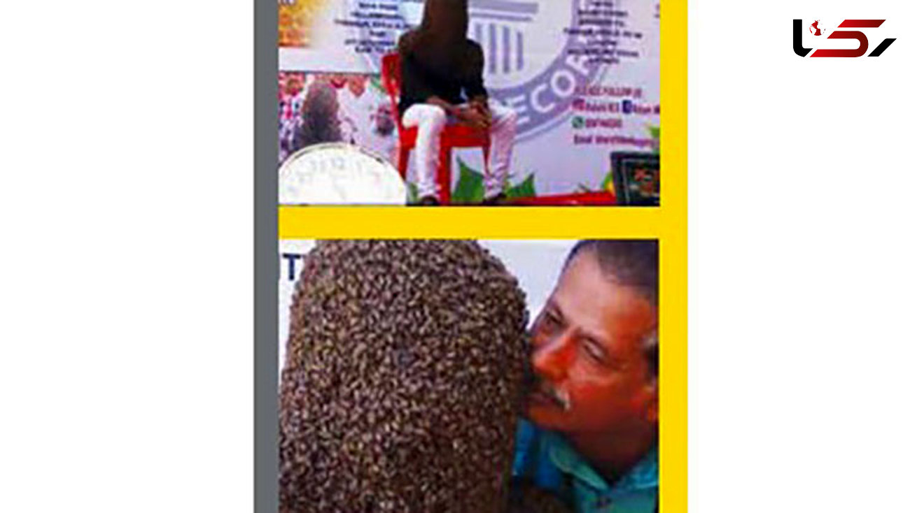 عجیب / دوستی صمیمی با 60 هزار زنبور+ عکس