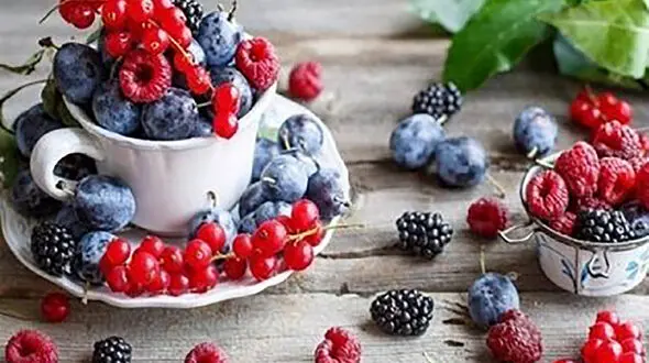 با خوردن این غذاها کرونا نمی گیرید !