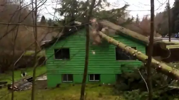 اشتباه عجیب دو مرد خانه ای را ویران کرد+ فیلم