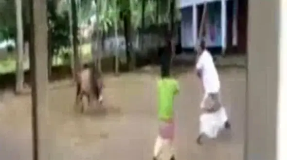 جدال تن به تن یک مرد با گاو خشمگین + فیلم