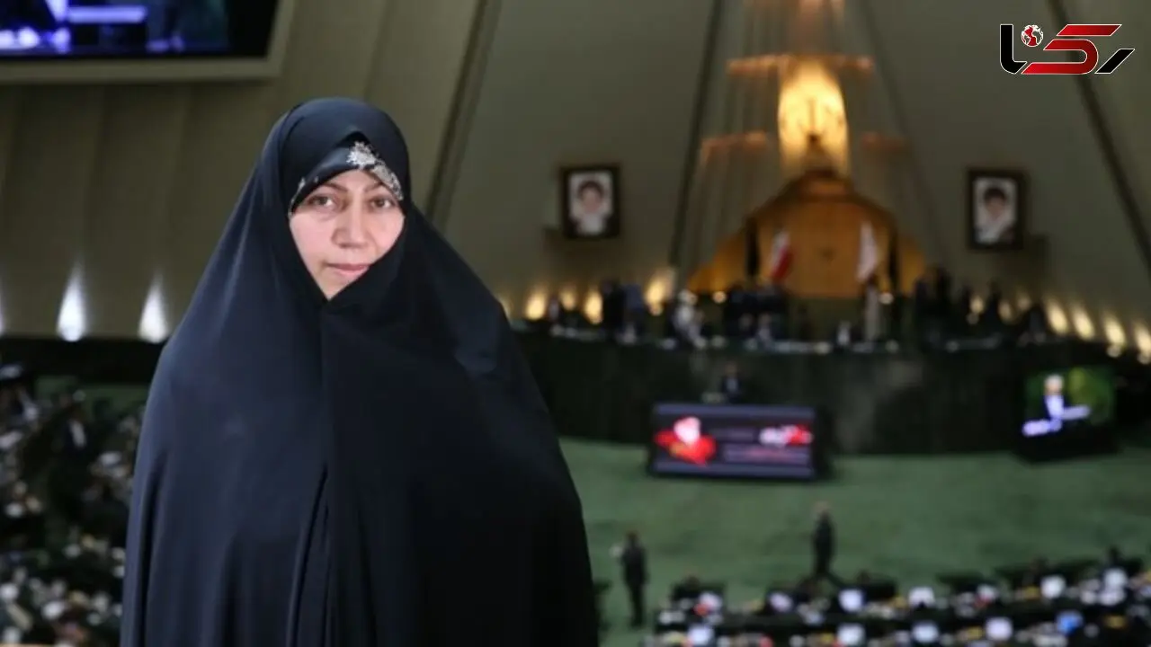 اختلالات ستاد ملی کرونا ایران را قرمز کرد / دولت پول نداد، بخش خصوصی پروتکل ها را کنار گذاشت