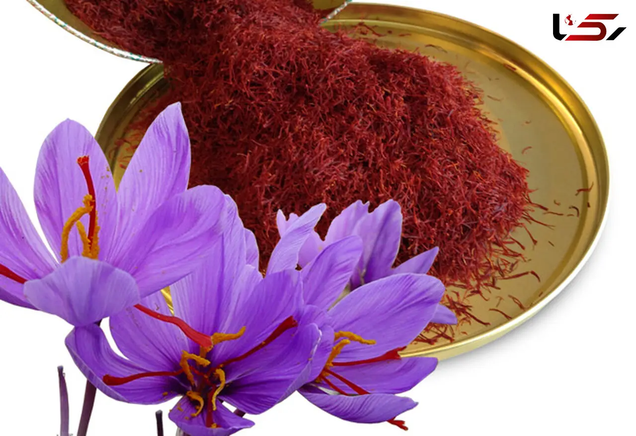 هشدار در کمین زعفران / رقیب زعفران کاران از شرق می‌آید