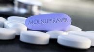 پرفسور ناجی: تاثیر شگفت انگیز قرص ضد کرونا در درمان کووید-19 / دو شرکت ایرانی به دنبال تولید "مولنوپیراویر" + صوت