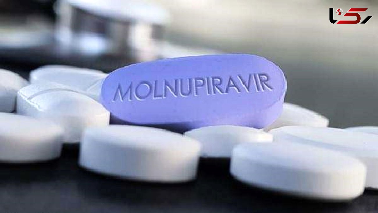 پرفسور ناجی: تاثیر شگفت انگیز قرص ضد کرونا در درمان کووید-19 / دو شرکت ایرانی به دنبال تولید "مولنوپیراویر" + صوت