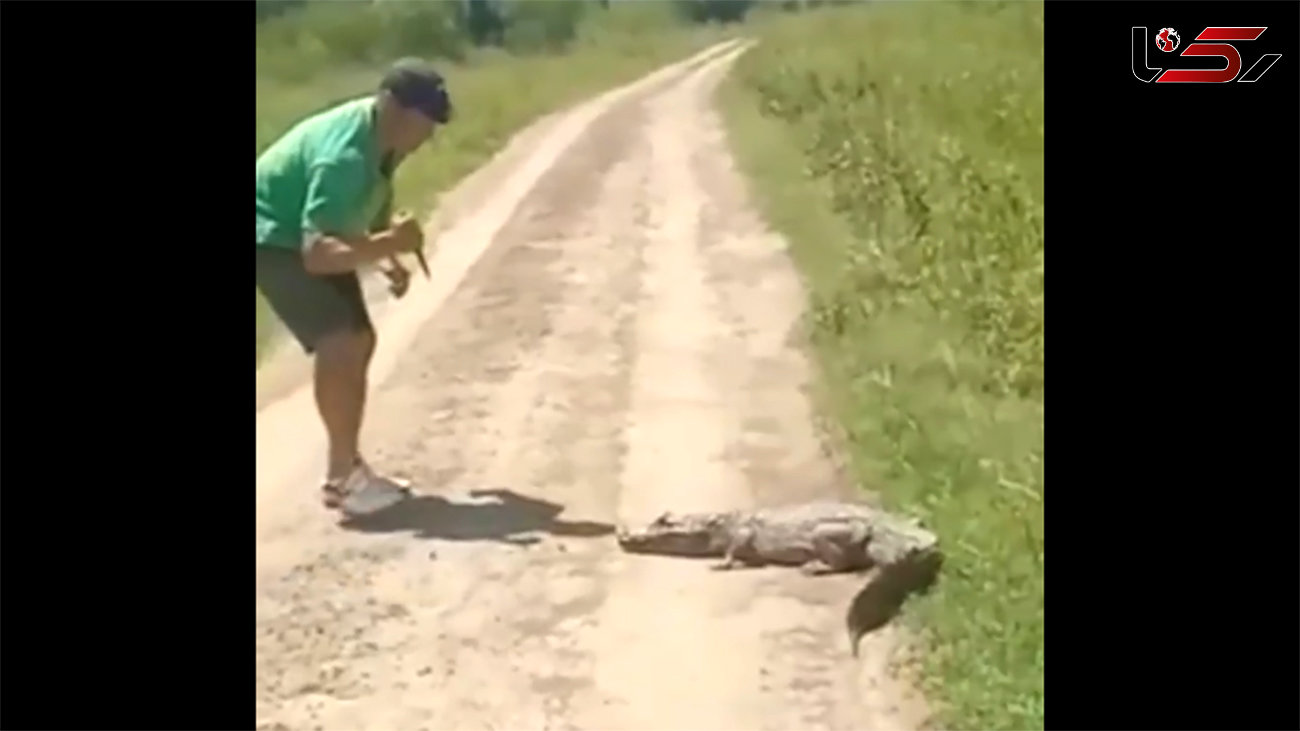 ببینید / لحظه حمله خونین تمساح به مرد چاقوکش! + فیلم وحشت آور