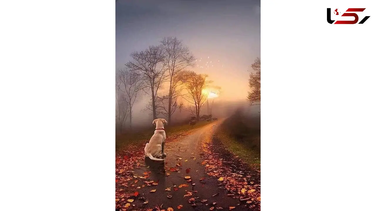 فال ابجد امروز / 15 آبان + فیلم
