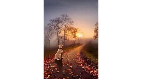 فال ابجد امروز / 15 آبان + فیلم