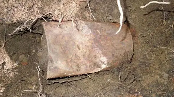 عکس ها / راز بزرگ‌ترین گنج سکه‌های طلا در  قوطی‌های زنگ‌زده / یاد فیلم های هالیوودی می افتید