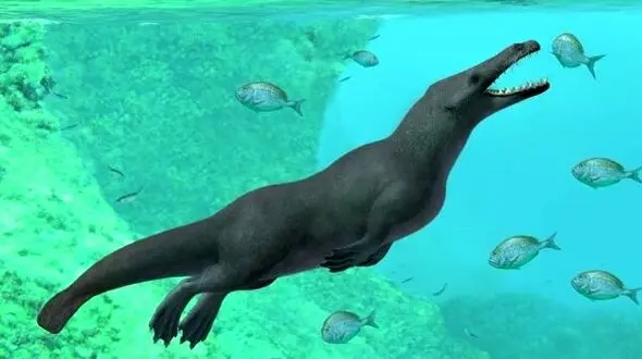 کشف فسیل وال ماقبل تاریخ دانشمندان را شگفت زده کرد