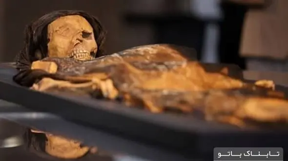 از تابوت کوچک یک جنین تا برنامه امنیتی عجیب در هرم خوفوی + تصاویر
