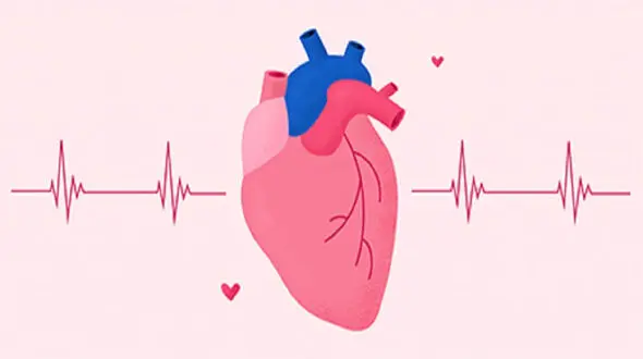 علل رایج تپش قلب + اینفوگرافی