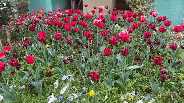 فال ابجد 3 اردیبهشت ماه + فیلم