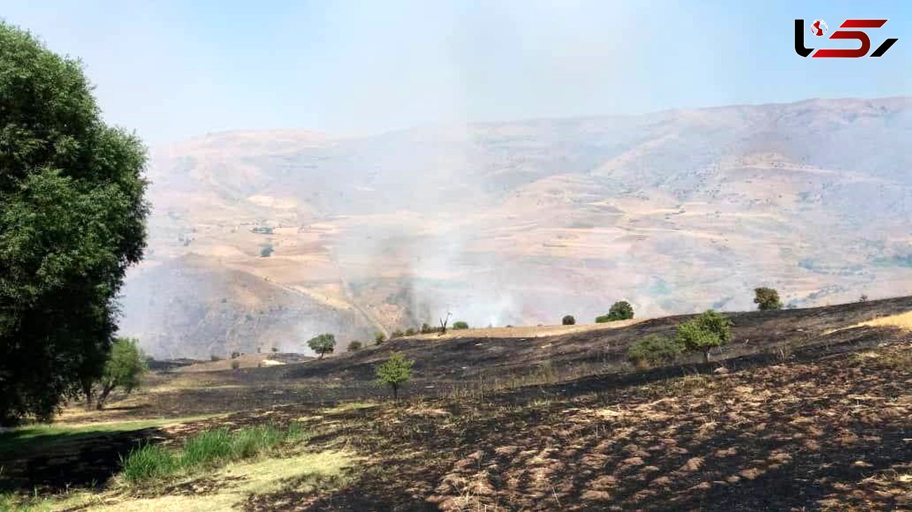 خسارت آتش‌سوزی به 50 هکتار از جنگل‌ها و مراتع خلخال