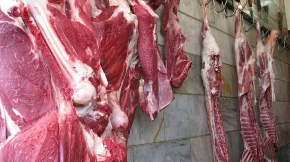 آلودگی گوشت‌ها به کرونا تکذیب شد / مردم را نترسانید