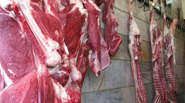  آلودگی گوشت‌ها به کرونا تکذیب شد / مردم را نترسانید
