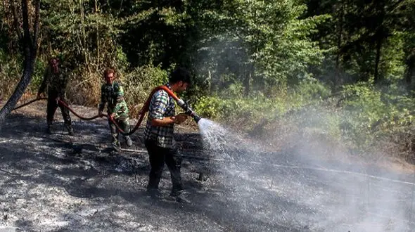 مهار کامل آتش‌سوزی در پارک ملی گلستان