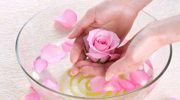 رفع بوی بد دهان با این گل معطر