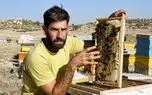 فیلم / به زنبورداران ایران مجوز صادرات نمی‌دهند! / پشت هر قطره عسل، یک سال تلاش و هزینه پنهان است