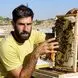 فیلم / به زنبورداران ایران مجوز صادرات نمی‌دهند! / پشت هر قطره عسل، یک سال تلاش و هزینه پنهان است