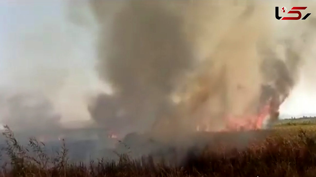نیزارهای تالاب "زریبار" 8 ساعت سوخت / استان کردستان بالگرد آبپاش ندارد + فیلم