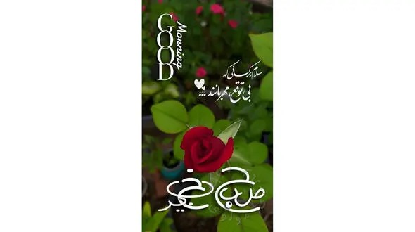 فال و طالع بینی 24 اسفند + فیلم