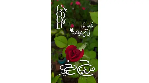 فال و طالع بینی 24 اسفند + فیلم