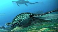 کشف فسیل لاک پشت 228 میلیون ساله بدون لاک