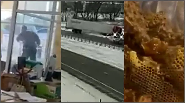 ببینید / از برخورد هواپیما با کامیون آتشنشانی تا تعقیب و گریز پلیسی + 10 فیلم حادثه ای 