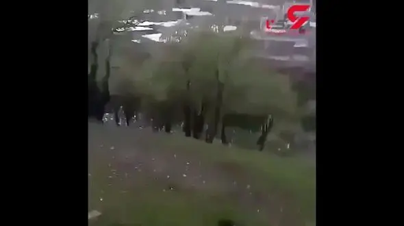 چهره این سگ آزار را شناسایی کنید! / او با سگ رفتار وحشیانه ای داشت + فیلم