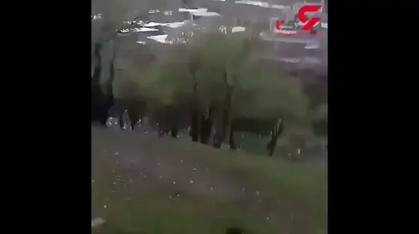 چهره این سگ آزار را شناسایی کنید! / او با سگ رفتار وحشیانه ای داشت + فیلم