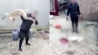 رفتار وحشیانه یک مرد با سگ بازنده، خشم میلیون‌ها نفر را برانگیخت +فیلم( 14+)